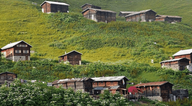 a group of wooden buildings on a hill